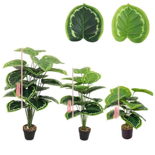 観葉植物 シュロ」の人気商品一覧 | 安い商品を通販サイトから探す